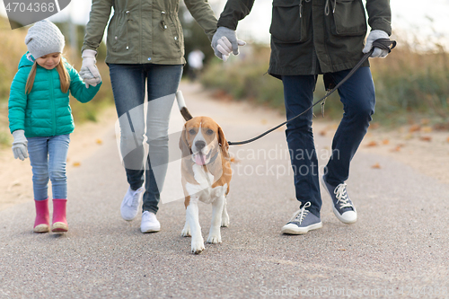 Image of family walking with dog in autumn