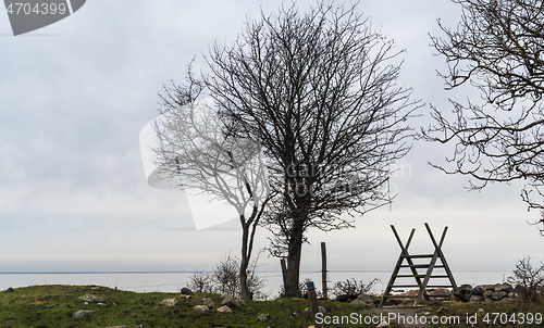 Image of Tree silhouettes and a wooden stile