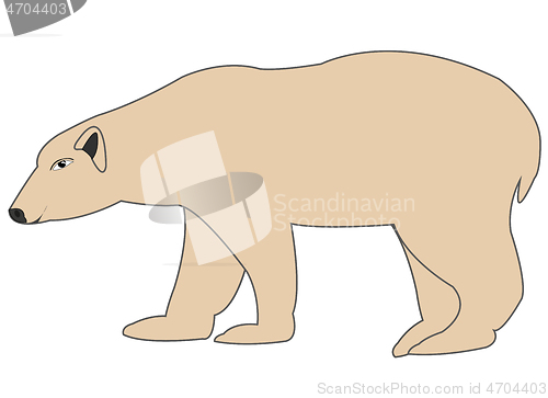 Image of Wildlife polar bear type from the side