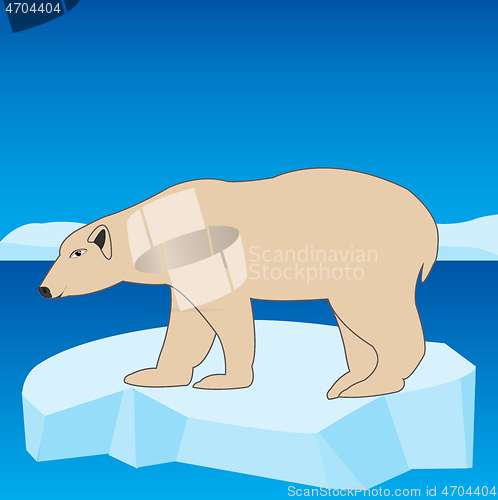 Image of Animal polar bear on block of ice in ocean