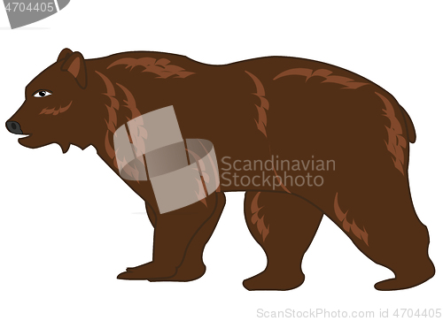 Image of Vector illustration of the wildlife brown bear