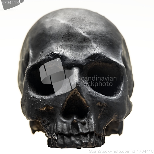 Image of Spooky dark black skull aginast white background isolated