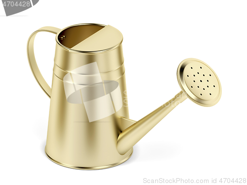 Image of Gold watering can