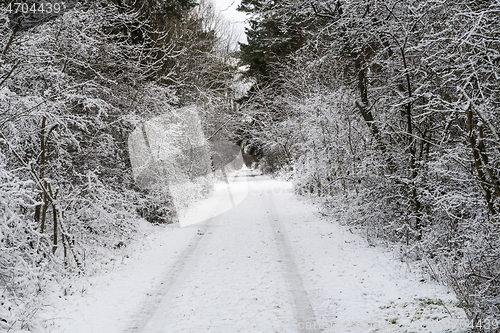 Image of Snow covered footpath 