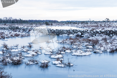 Image of Ice covered flooded grassland