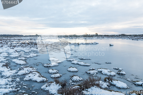 Image of Snowy grass tufts in a flooded grassland