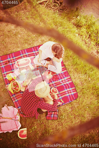 Image of top view of couple enjoying picnic time