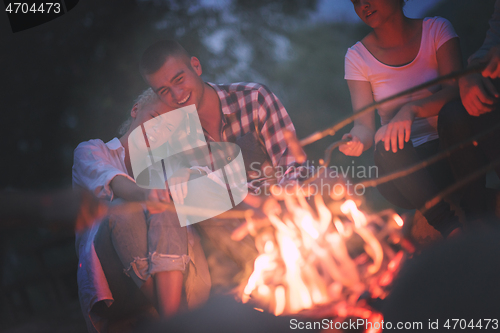 Image of young friends relaxing around campfire