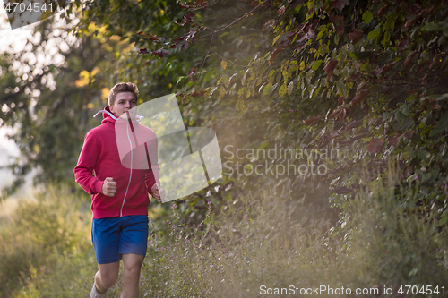 Image of man jogging along a country road