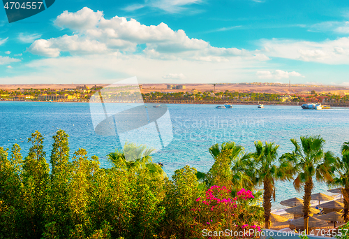 Image of Red sea beach