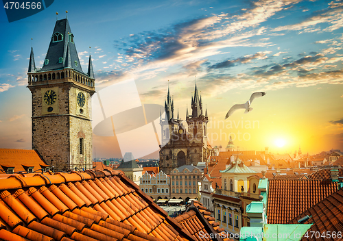 Image of Seagull over cathedral