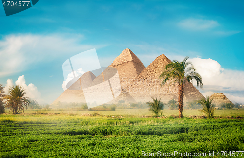 Image of Pyramids in field