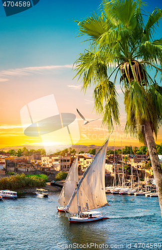 Image of River Nile and boats