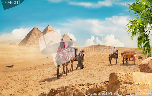 Image of Camels in sandy desert