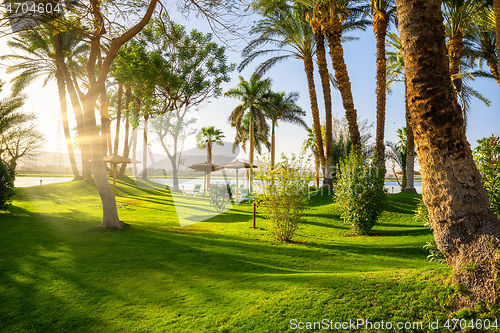 Image of Park and palm