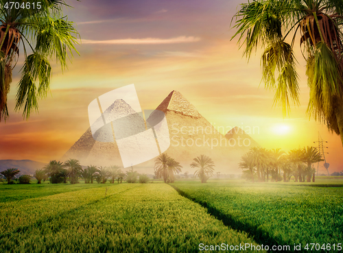 Image of Pyramids in green field