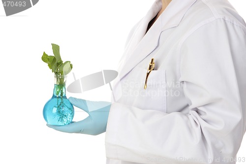 Image of Agronomy -agricultural science