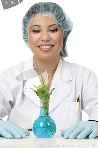 Image of Agricultural scientist