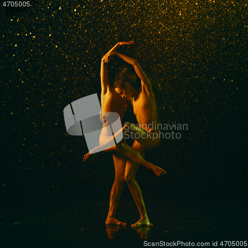 Image of Two young female ballet dancers under water drops