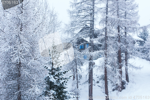 Image of Village house hidden behind the trees