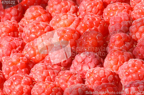 Image of Raspberry background