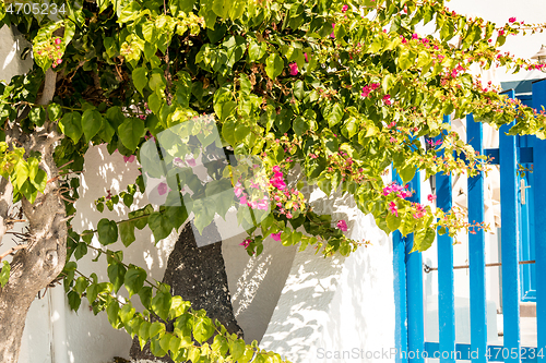 Image of typical architecture of houses on the island of Santorini in Gre