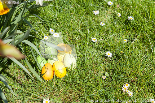 Image of colored Easter eggs hidden in flowers and grass