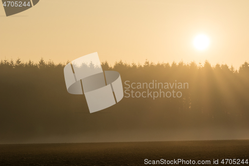 Image of country landscape in the morning in the mist