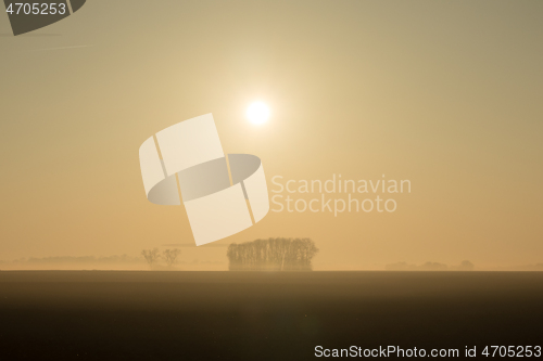 Image of country landscape in the morning in the mist