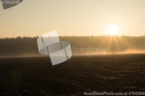 Image of country landscape in the morning in the mist