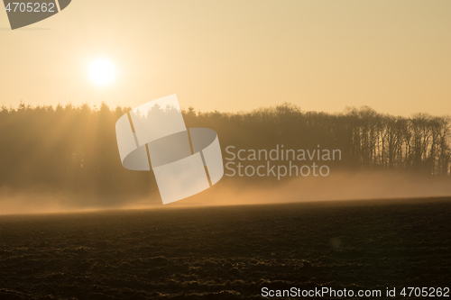 Image of country landscape in the morning in the mist