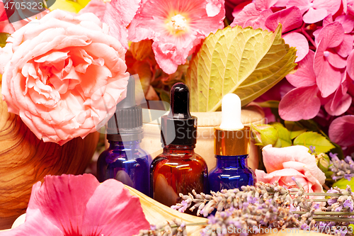 Image of flowers and bottles of essential oils for aromatherapy