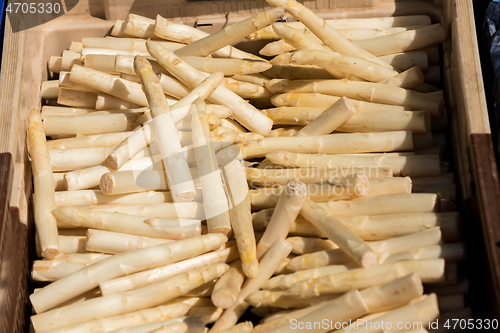 Image of crate of fresh white asparagus on a market