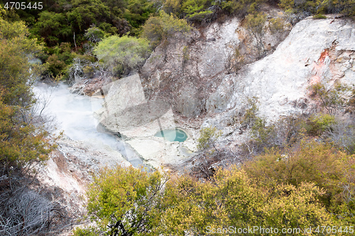 Image of geothermal activity at Rotorua in New Zealand