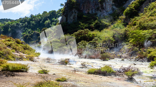 Image of volcanic activities at waimangu