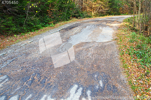 Image of Cracked road in the forest