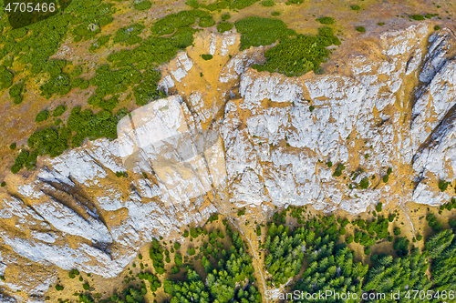 Image of Rock above green forest