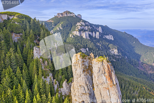 Image of Green forest on rocky mountain