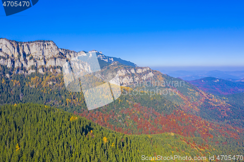 Image of Beautiful mountain forest in autumn