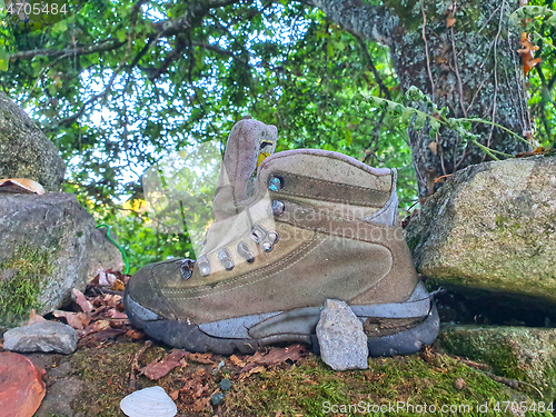 Image of Garbage boot lost in forest