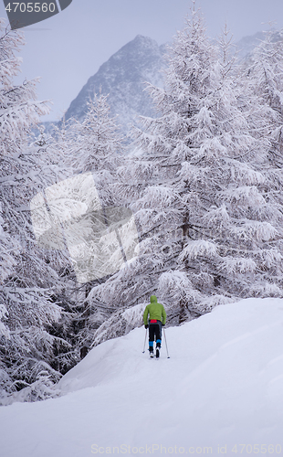 Image of man enjoying cross country skiing