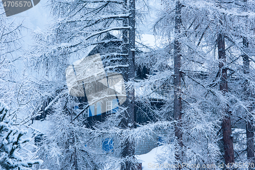 Image of Village house hidden behind the trees