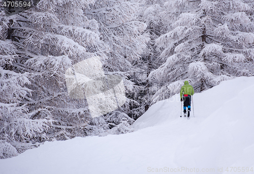 Image of man enjoying cross country skiing