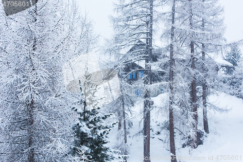 Image of Village house hidden behind the trees