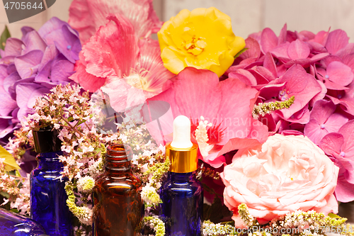 Image of flowers and bottles of essential oils for aromatherapy