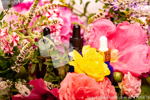 Image of flowers and bottles of essential oils for aromatherapy