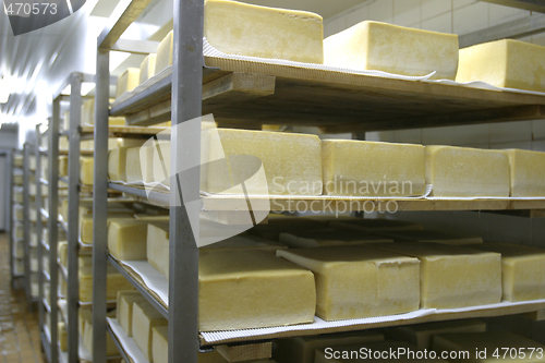 Image of cheese storage in dairy