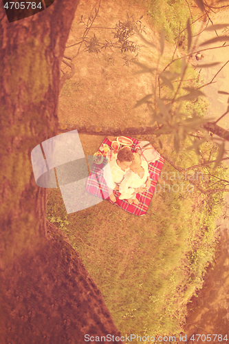 Image of top view of couple enjoying picnic time