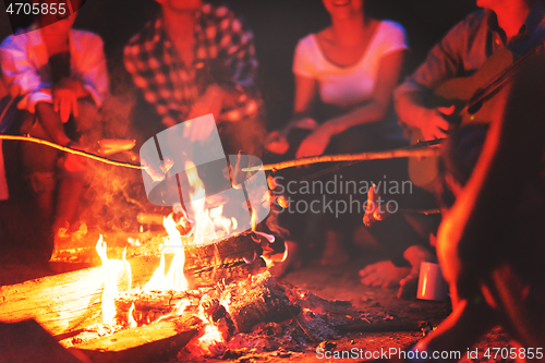 Image of young friends relaxing around campfire