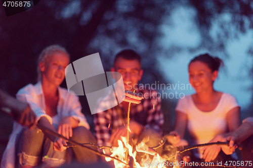 Image of young friends relaxing around campfire